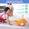 BumpGo Orange™ | Pez Musical para niños con Rueda Universal Bump Go, Función de Bola de Soplado y Luz Intermitente.